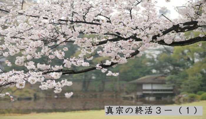 真宗の終活 ３