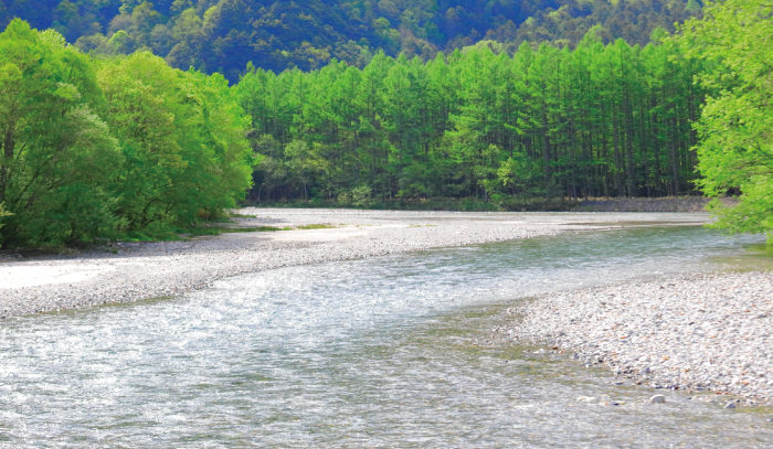 苦の原因は「煩悩」にある