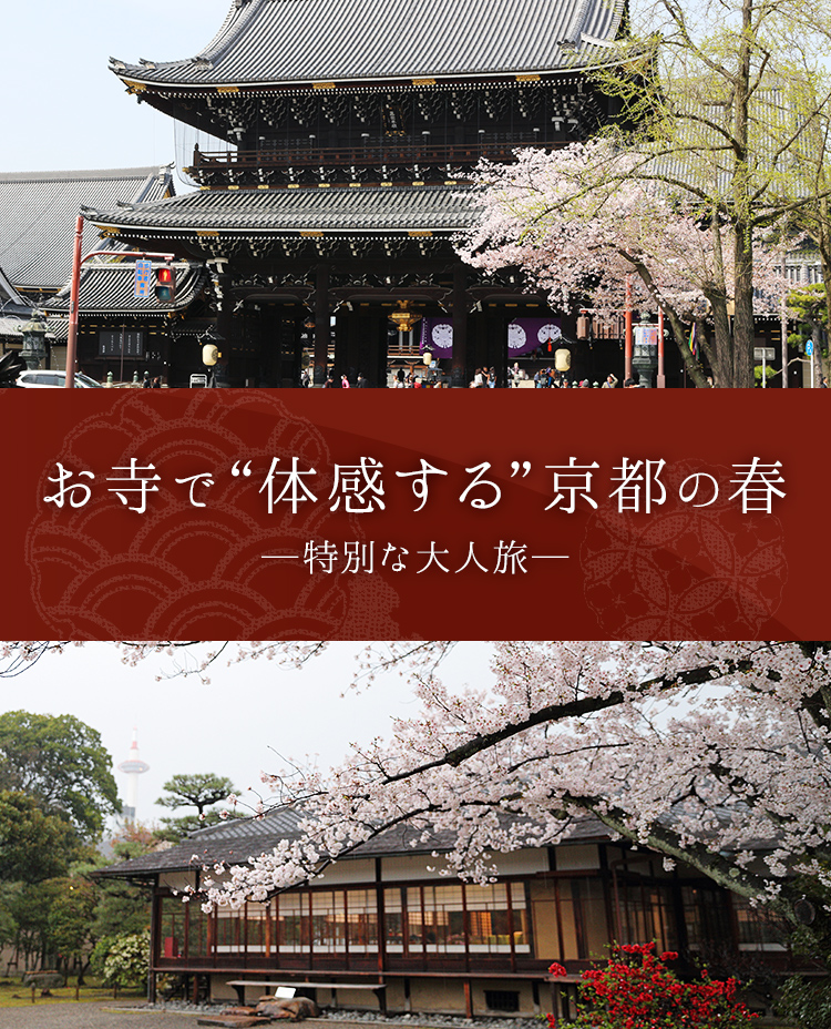 お寺で “体感する”京都の春 ─特別な大人旅─